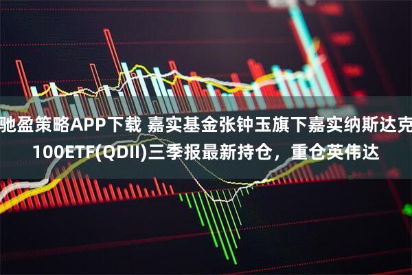 驰盈策略APP下载 嘉实基金张钟玉旗下嘉实纳斯达克100ETF(QDII)三季报最新持仓，重仓英伟达